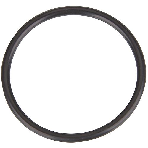 Ersatz O-Ring für EVENES Zirkulationspumpe EV-ZUP 15, 53x4mm