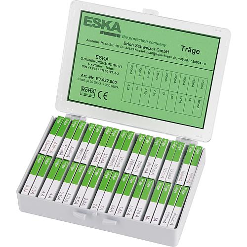 Feinsicherungssortiment träge Ausführung 5 x 20 mm 360 Stück