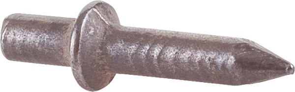 Einschlagnagel mit breitem Kragen, Ø 4,0/22 mm, VPE = 200 Stück