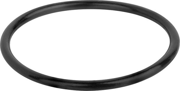 Dichtung O-Ring Schütz Durchmesser 53x3,5mm 557447