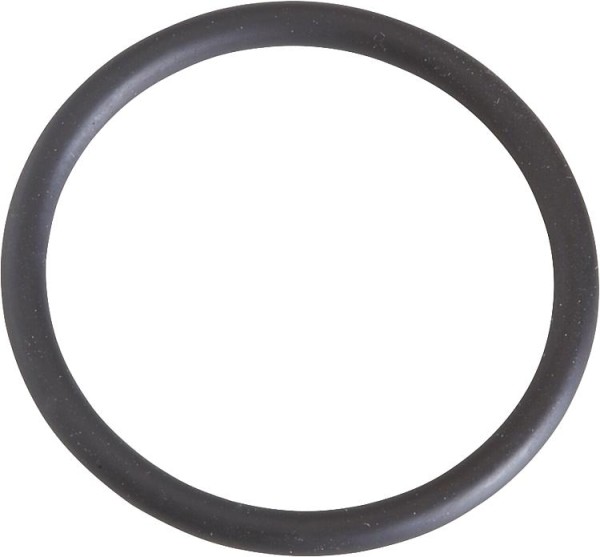 SIT O-Ring für Flansche passend zu Minisit 710 Ref. 0.925.034