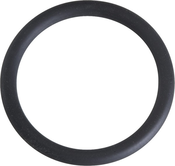 O-Ring zu Gasanschlußflansch 50 004 05-07 E I N Z E L N