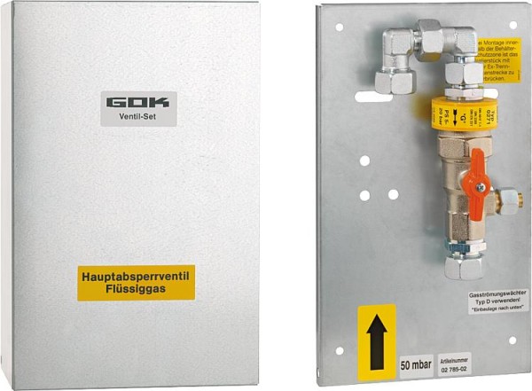 GOK Hausanschlußkasten RVS18xRVS18 NW20