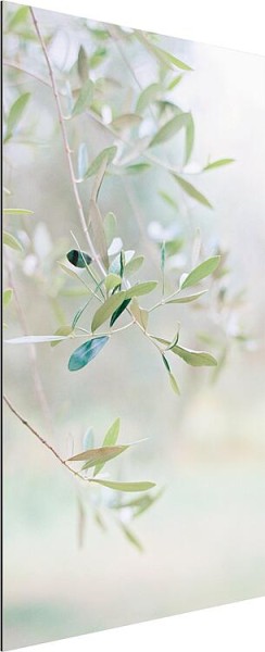 Duschrückwand Naturdekor Olive BxHxT 1000x2500x3 mm